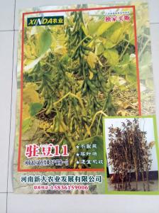 駐豆