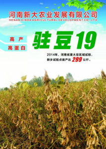 駐豆