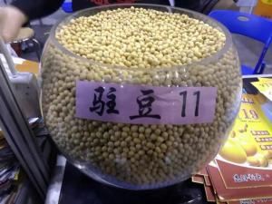 駐豆11
