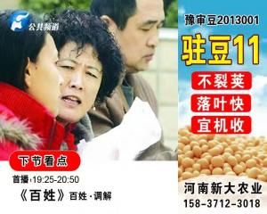 駐豆11電視臺廣告